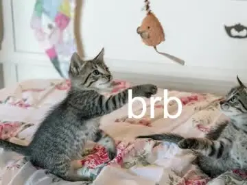 Pink_girl0n  live sex cam