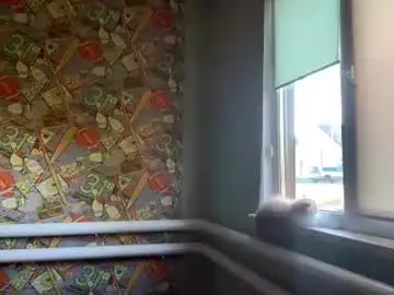 Inespacheco  live sex cam