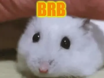 Lollyy_flyy  live sex cam