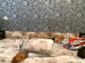 Dennisxcarol  live sex cam