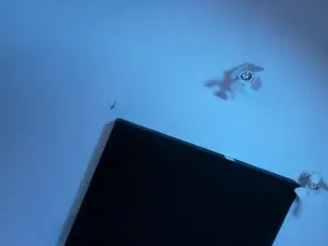 Scarletzaint  live sex cam