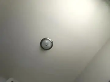 Choclattee24  live sex cam