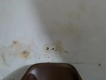 Prettysexy6  live sex cam