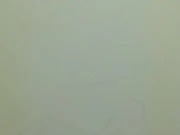 Daphne737629  live sex cam