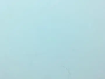 Daphne737629  live sex cam