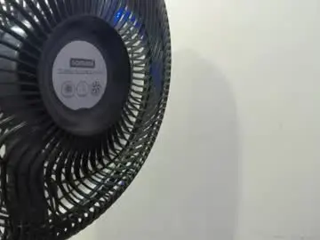 Jazmin_flores1  live sex cam