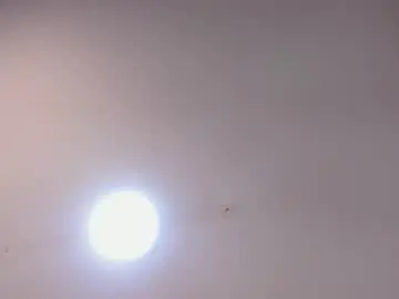 Jenny_gomezz  live sex cam