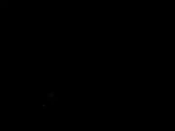 Nettiestohler  live sex cam