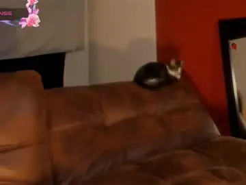 La_diabla_111_  live sex cam