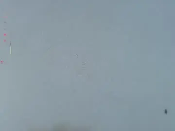 Kaya_taraji  live sex cam