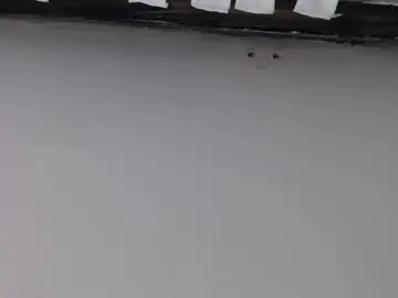 Noellehartley  live sex cam