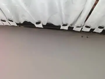 Noellehartley  live sex cam