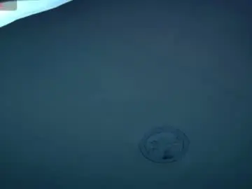 Violettaks  live sex cam