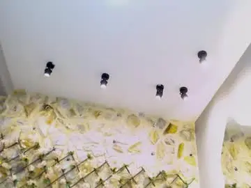 Amypetiitee  live sex cam