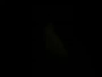 Molinamarsha3  live sex cam