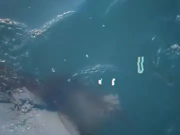 Tinatopp  live sex cam