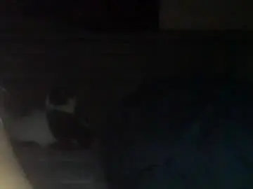 Ledsytreidx  live sex cam