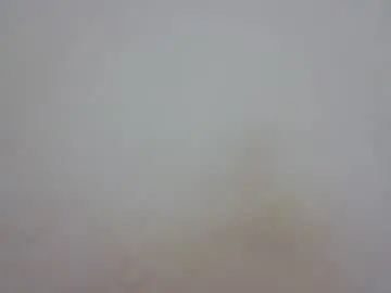 Wet_pussieyy  live sex cam