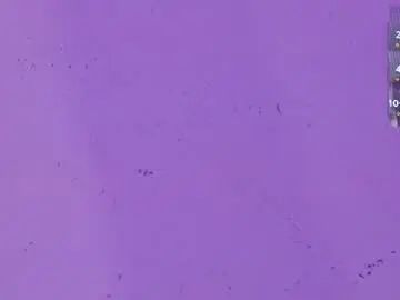 Naomy_tay1  live sex cam