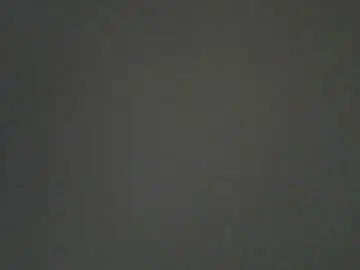 Xenianc137  live sex cam