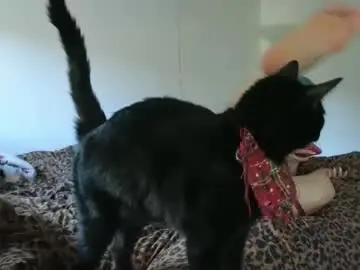 Cherrycam777  live sex cam