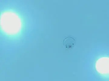 Maddison_copper  live sex cam