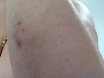 Bigtitsclaude  live sex cam