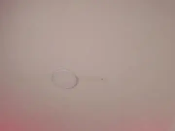 Esperanzamora  live sex cam