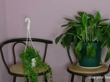 Rebeccawhite_meow  live sex cam