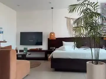 Intelligencer  live sex cam