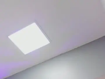 Sasharosee1  live sex cam