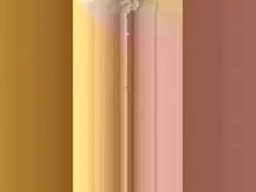 Buldak29  live sex cam