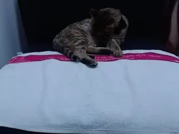 _thamaraa_  live sex cam