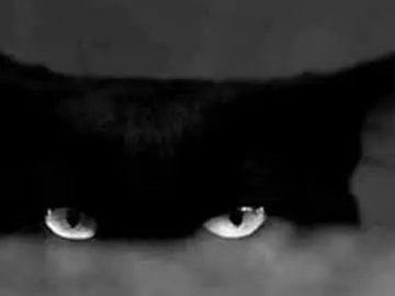 Void_smokin  live sex cam