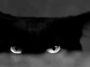 Void_smokin  live sex cam