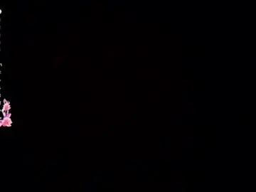 Tyracropp  live sex cam