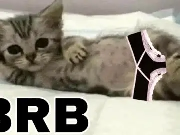 _meowmiko__  live sex cam