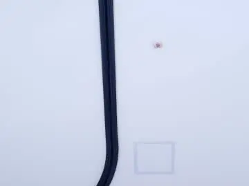 Ashly_miller2  live sex cam