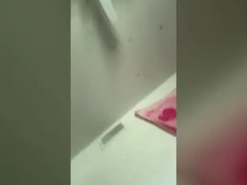 Myocean2wet  live sex cam