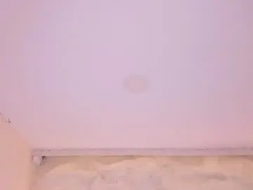 Sofiathonsonn  live sex cam