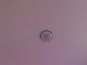 Betty_murr  live sex cam