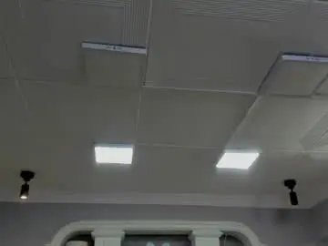 Leslieanddrako  live sex cam