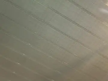 Saray_reyes  live sex cam