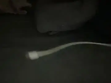 Chase_vicky  live sex cam