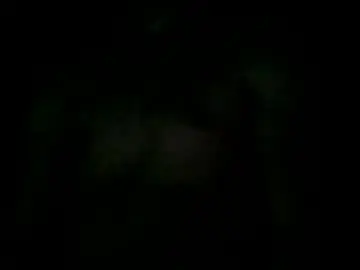 Scoutlooker  live sex cam