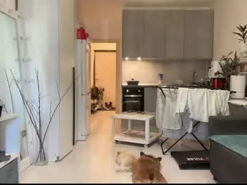 Odriolsen  live sex cam