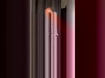 Sexybitch984858  live sex cam
