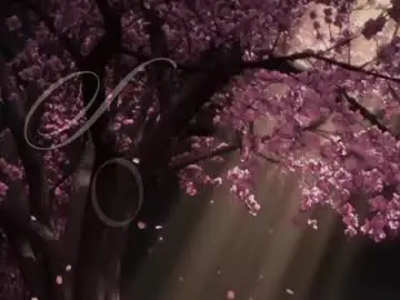 Edenarcadia  live sex cam