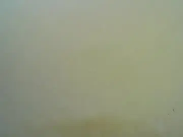 Hot_shannia  live sex cam