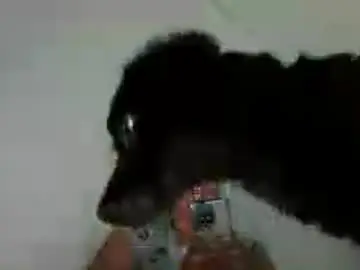 Karo_horny  live sex cam